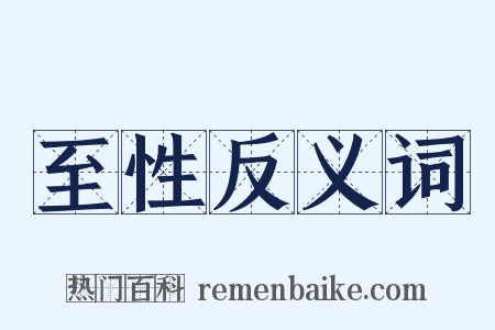 至性反义词是什么意思的图片